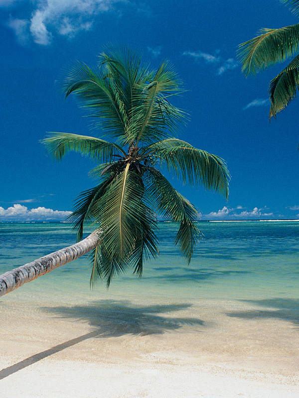 premio MegaGordo viaje al caribe 2 personas viaje al caribe con MegaGordo